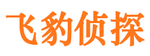 大渡口外遇调查取证